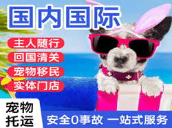 路桥空运地址国际宠物托运 【国